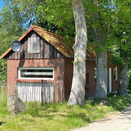 Hofgut Bisdamitz - Ferienhaus Knoff Exterior foto