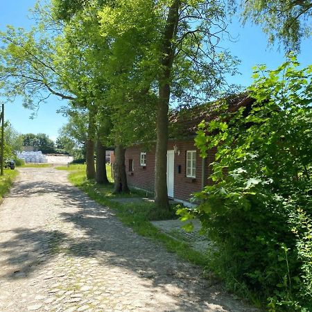 Hofgut Bisdamitz - Ferienhaus Knoff Exterior foto