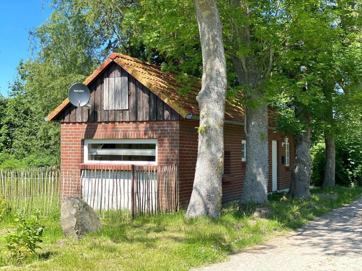 Hofgut Bisdamitz - Ferienhaus Knoff Exterior foto