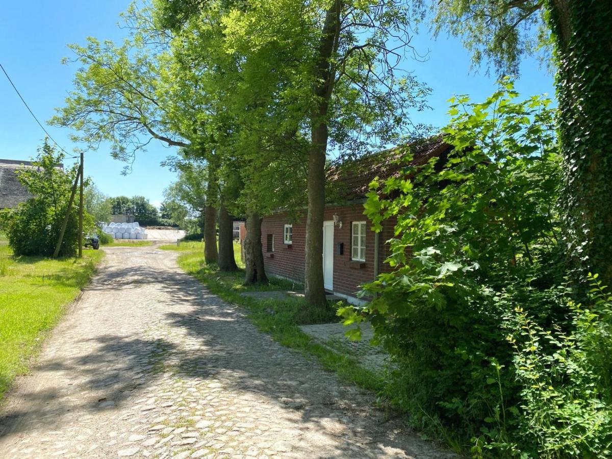 Hofgut Bisdamitz - Ferienhaus Knoff Exterior foto
