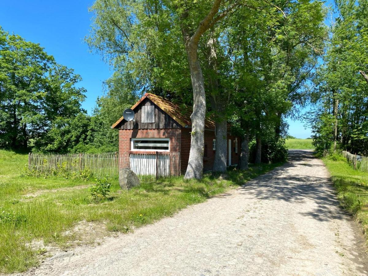 Hofgut Bisdamitz - Ferienhaus Knoff Exterior foto