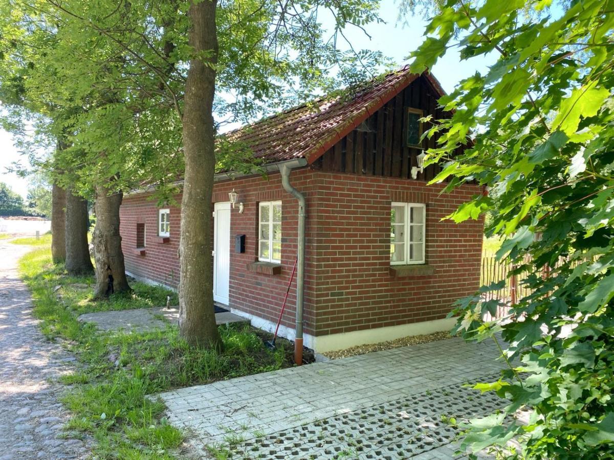 Hofgut Bisdamitz - Ferienhaus Knoff Exterior foto